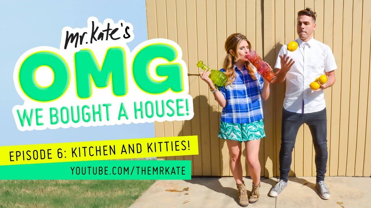 Kitchen and Kitties: A DIY Home Decor Adventure | OMG We Bought A House!