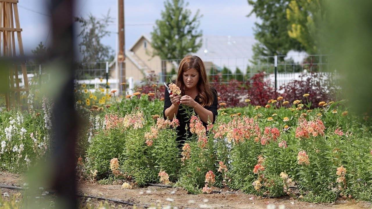 My First Arrangement From My New Cut Flower Garden: A Step-by-Step Guide