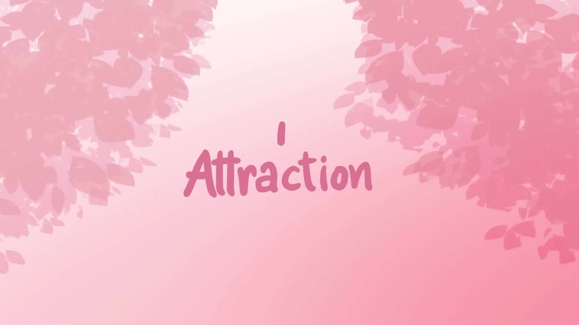 Visual Representation of Attraction