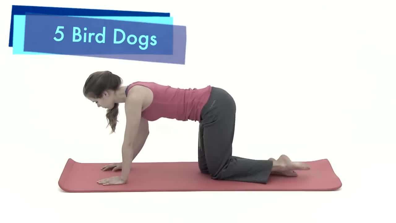 Bird Dog Exercise for Back Stability