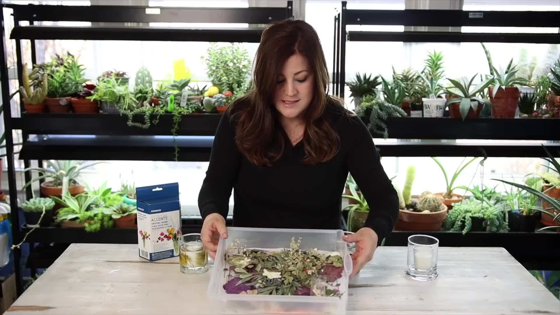 Dried Flowers from Garden