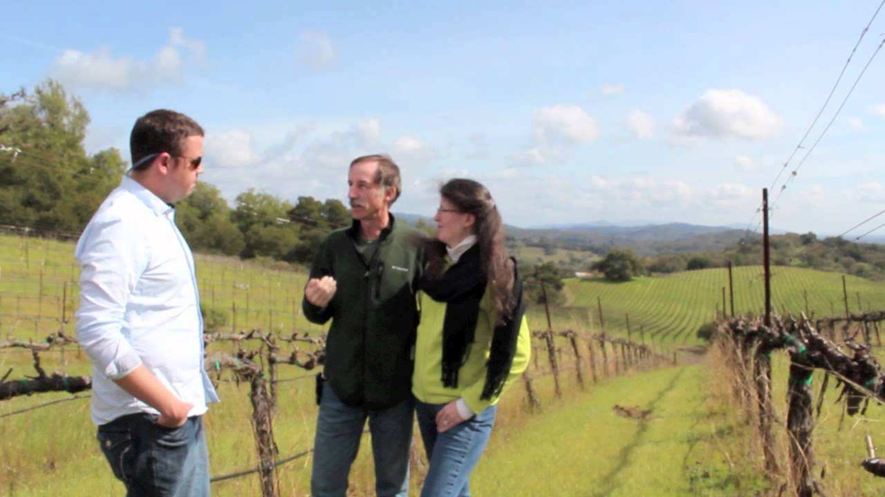 Exploring California Wine Country: A Traveler's Journey with Spencer Spellman
