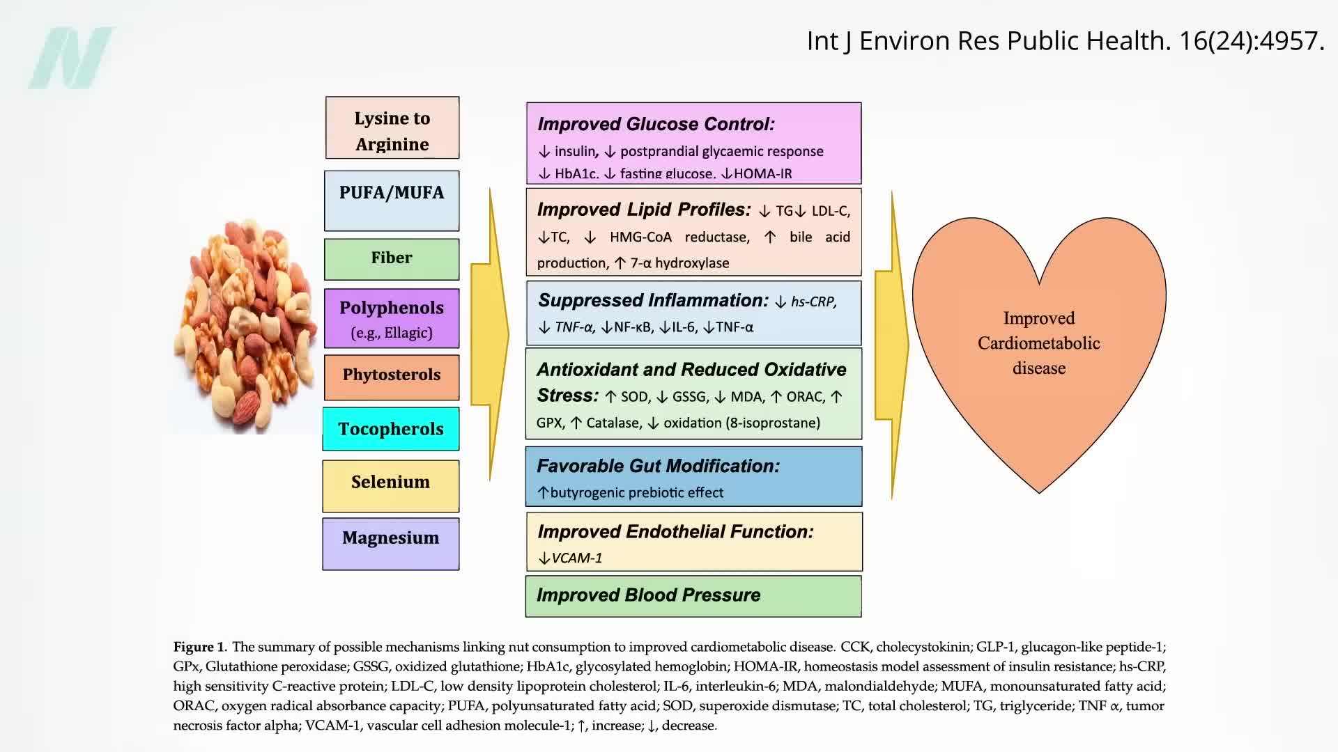 Benefits of Nuts on Blood Sugar Control