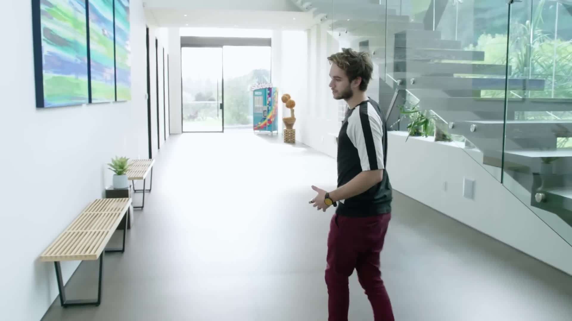 Art Gallery in Zedd's Mansion