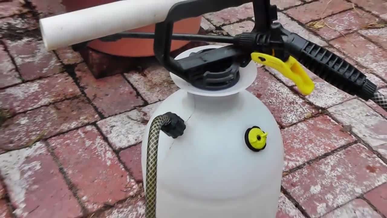 Neem Oil as an Organic Pest Control Solution