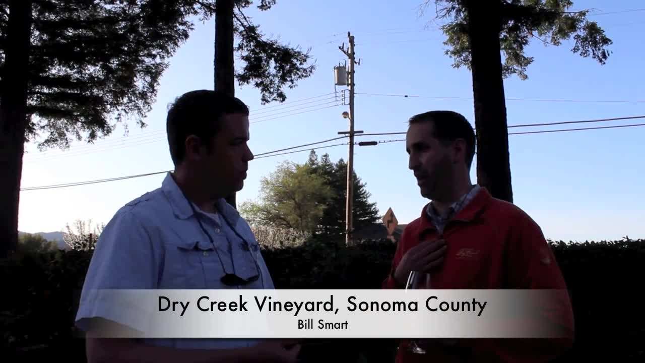 Adventure Seeker in Sonoma County