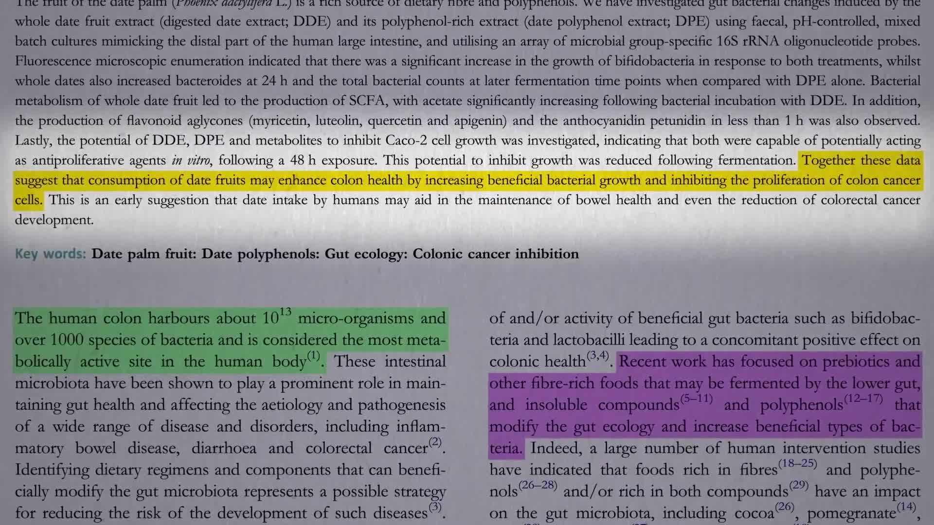 Effects of Date Consumption on Colon Health
