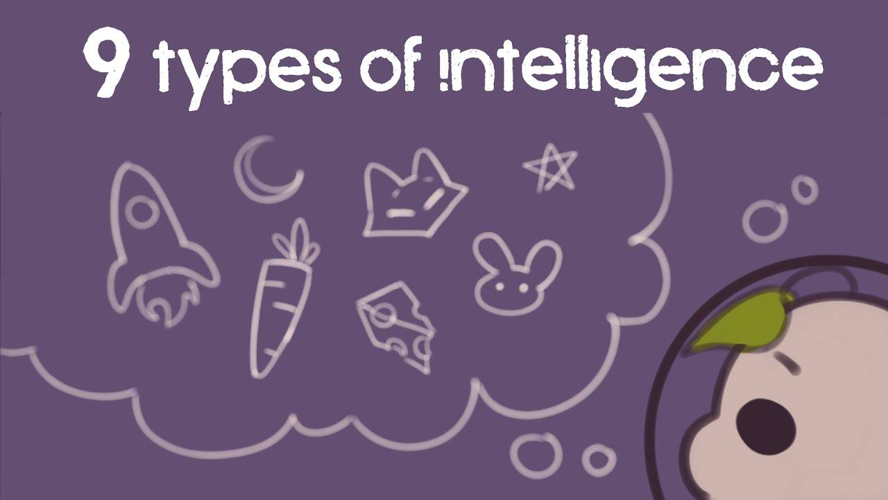 Unveiling the 9 Types of Intelligence You Might Possess: A Comprehensive Guide