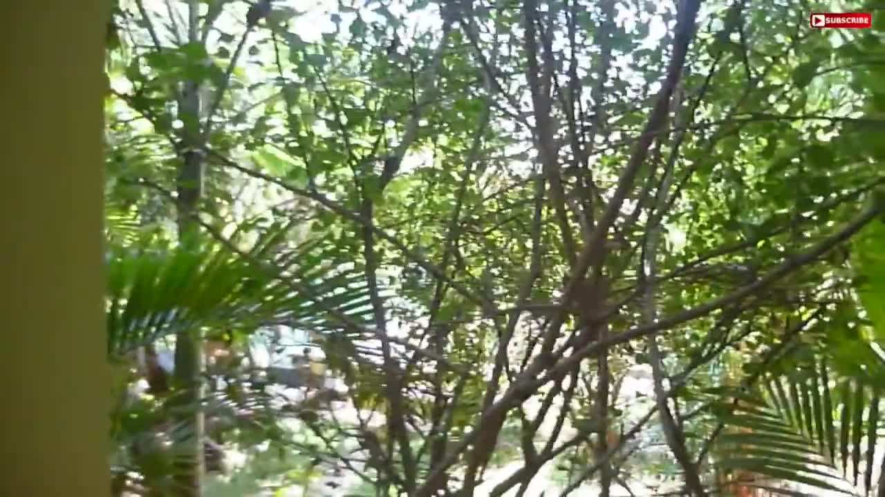 View of the Pool Area