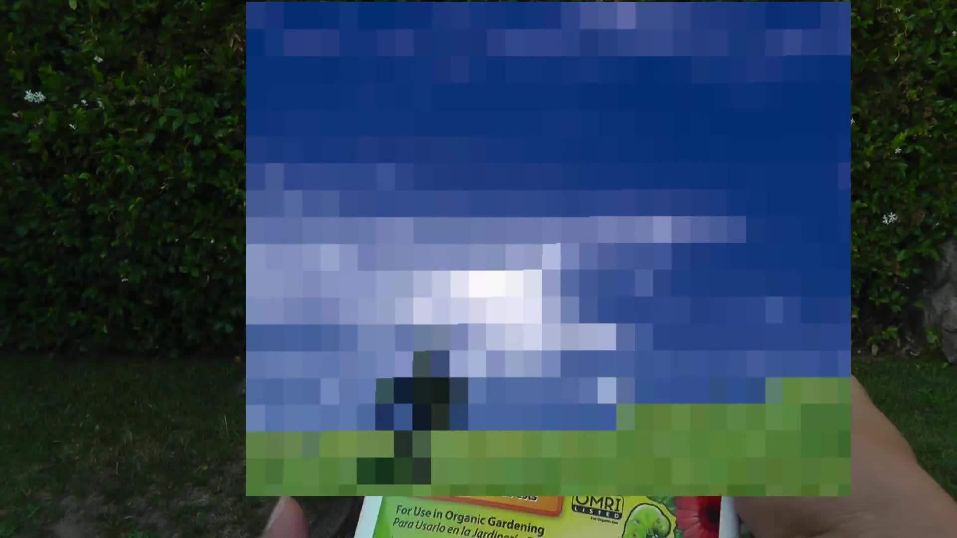 Spinosad: A Natural Pest Control Solution