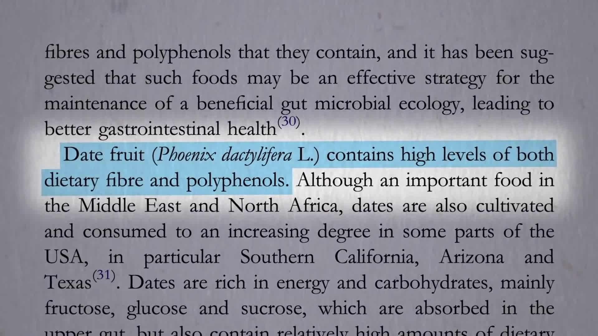 Effects of Date Polyphenols on Gut Flora