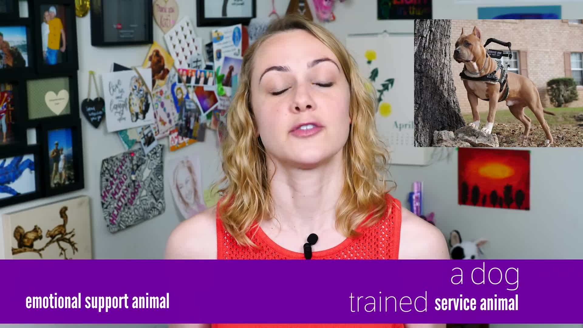 Psychiatric Service Dog in Action