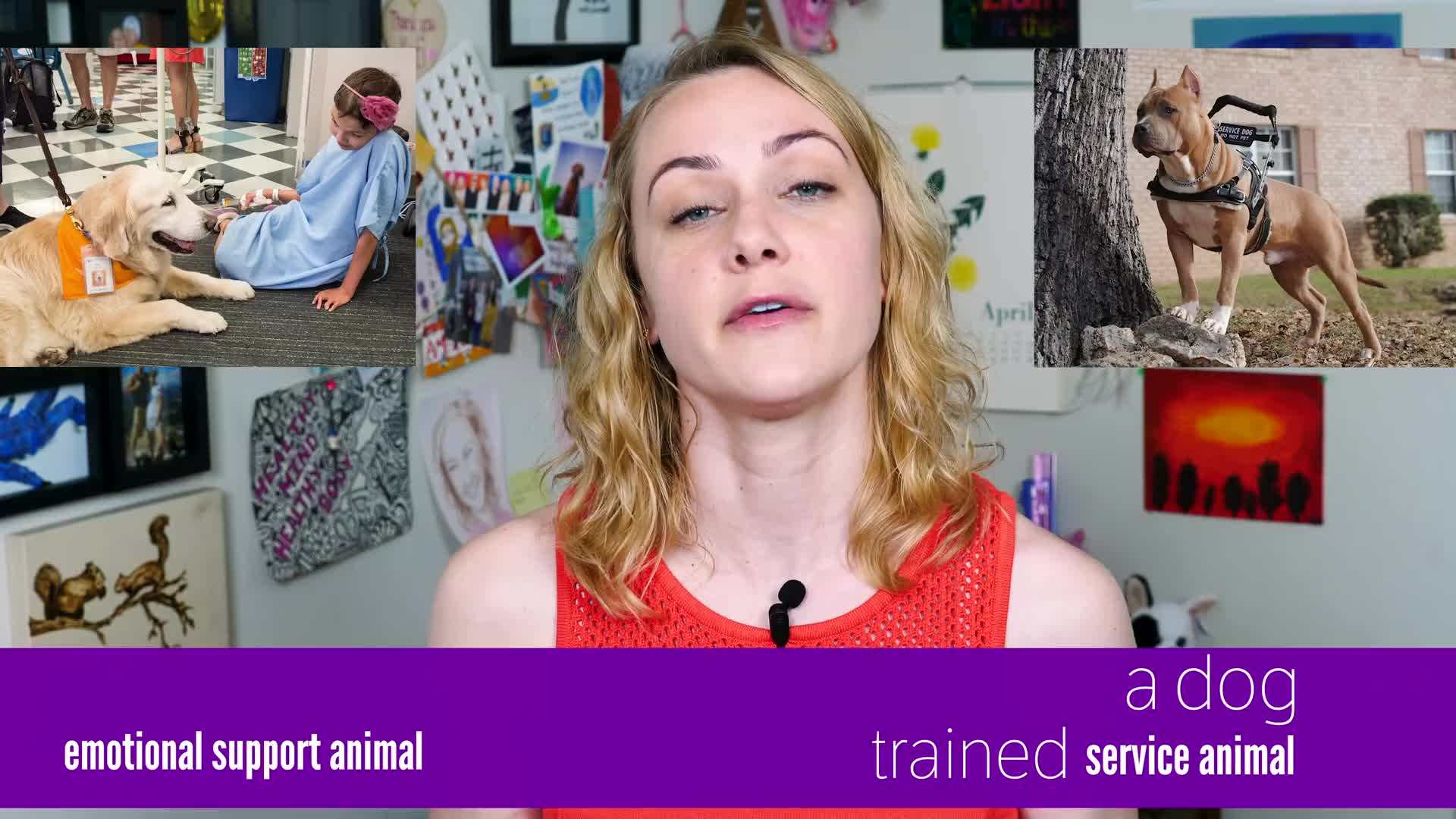 Emotional Support Animal Providing Comfort