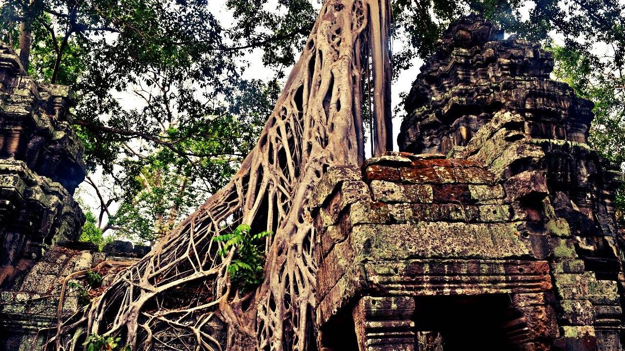 Exploring the Magnificence of Bayon Temple and Ta Prohm Temple in Cambodia