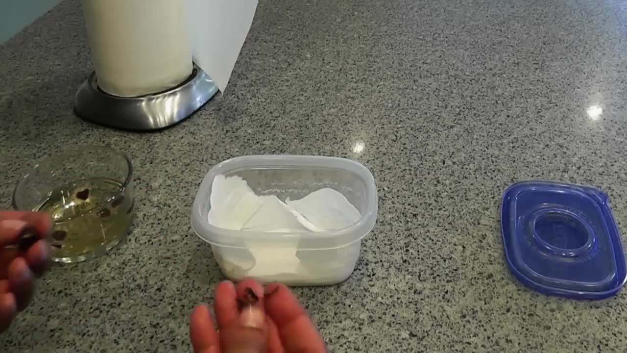 Removing flanges from Moringa seeds