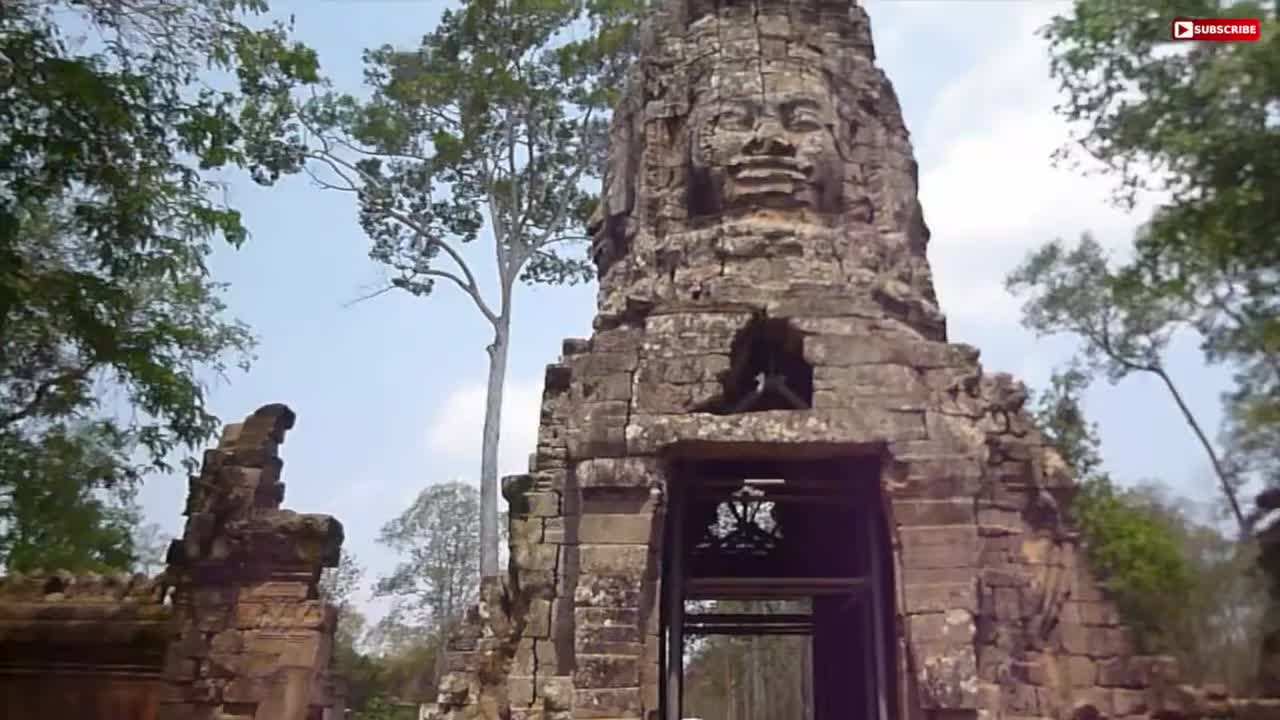Tree Roots at Ta Prohm Temple