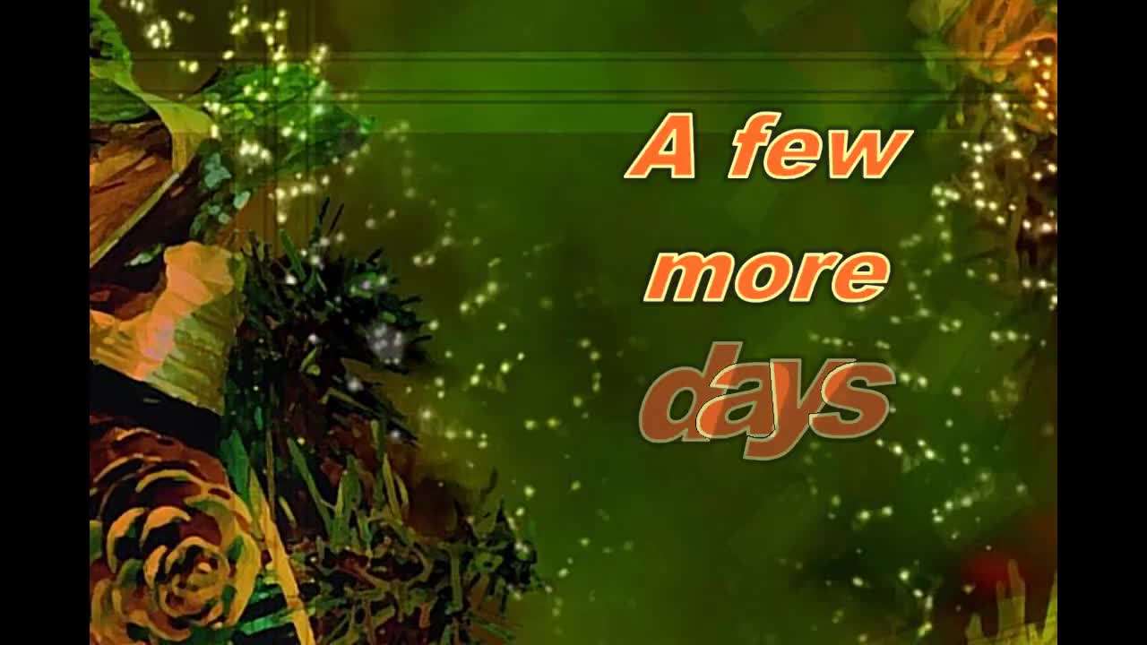 Harvesting Ripe Serrano Peppers