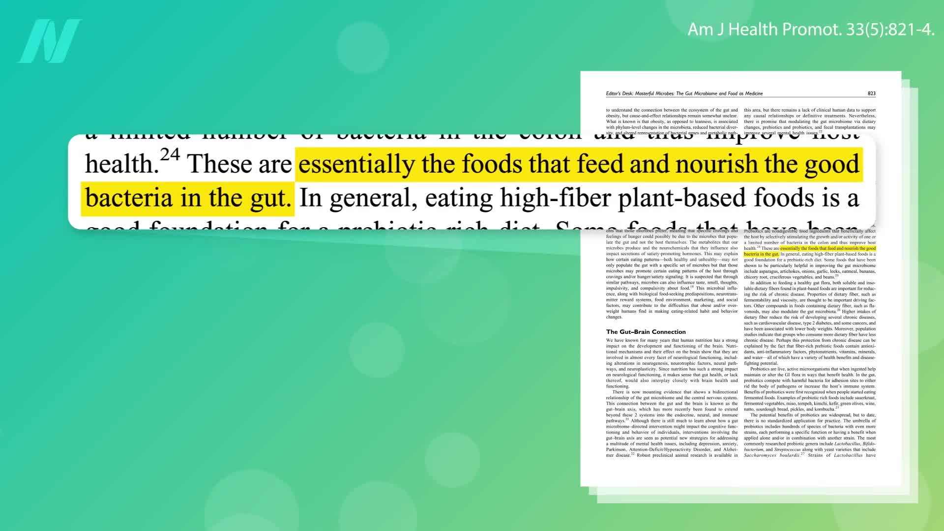 Importance of Fiber in Gut Health