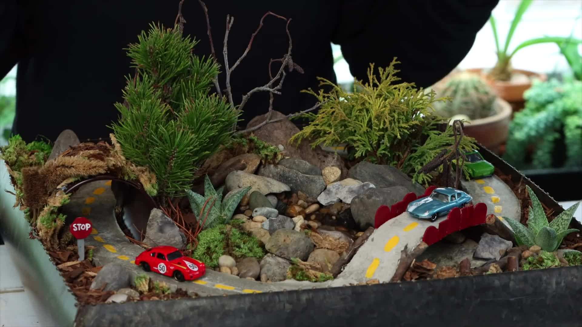 Enhancing with Moss and Rocks