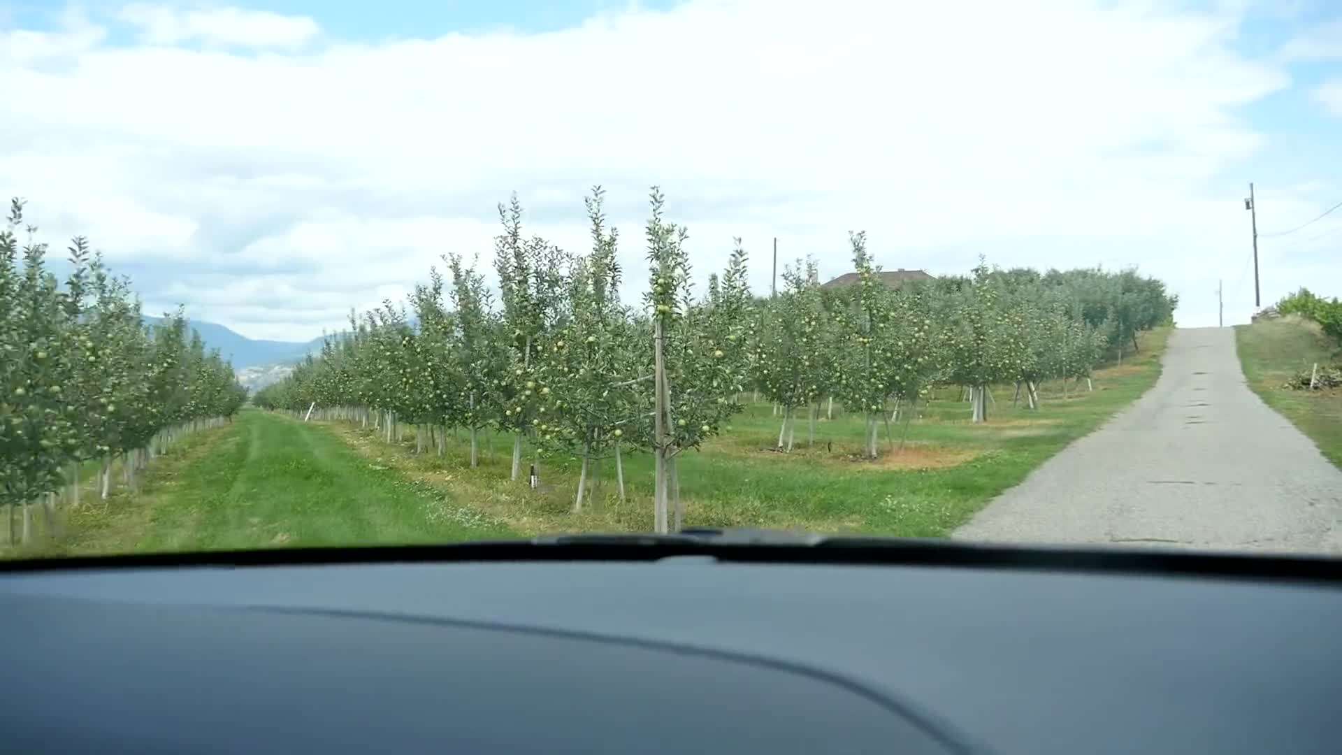 Peachland Fruit Stand