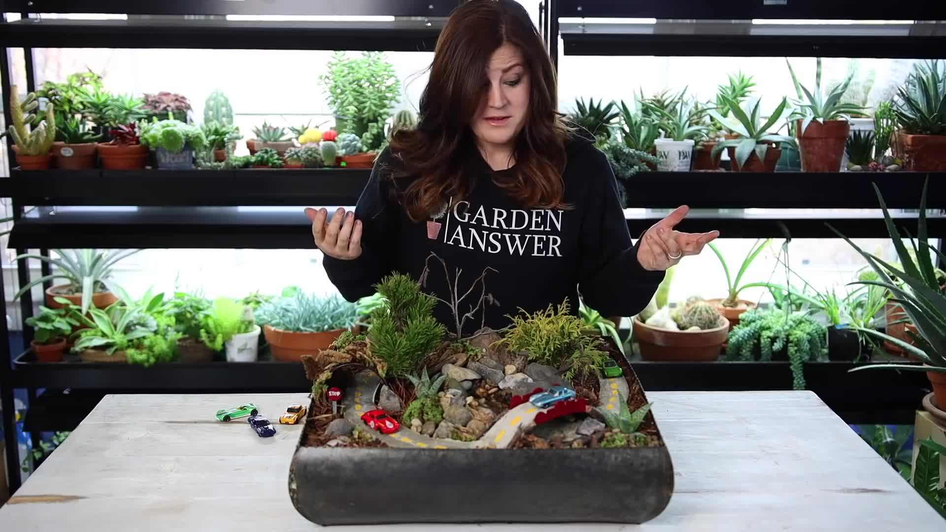 Setting Up the Water Feature