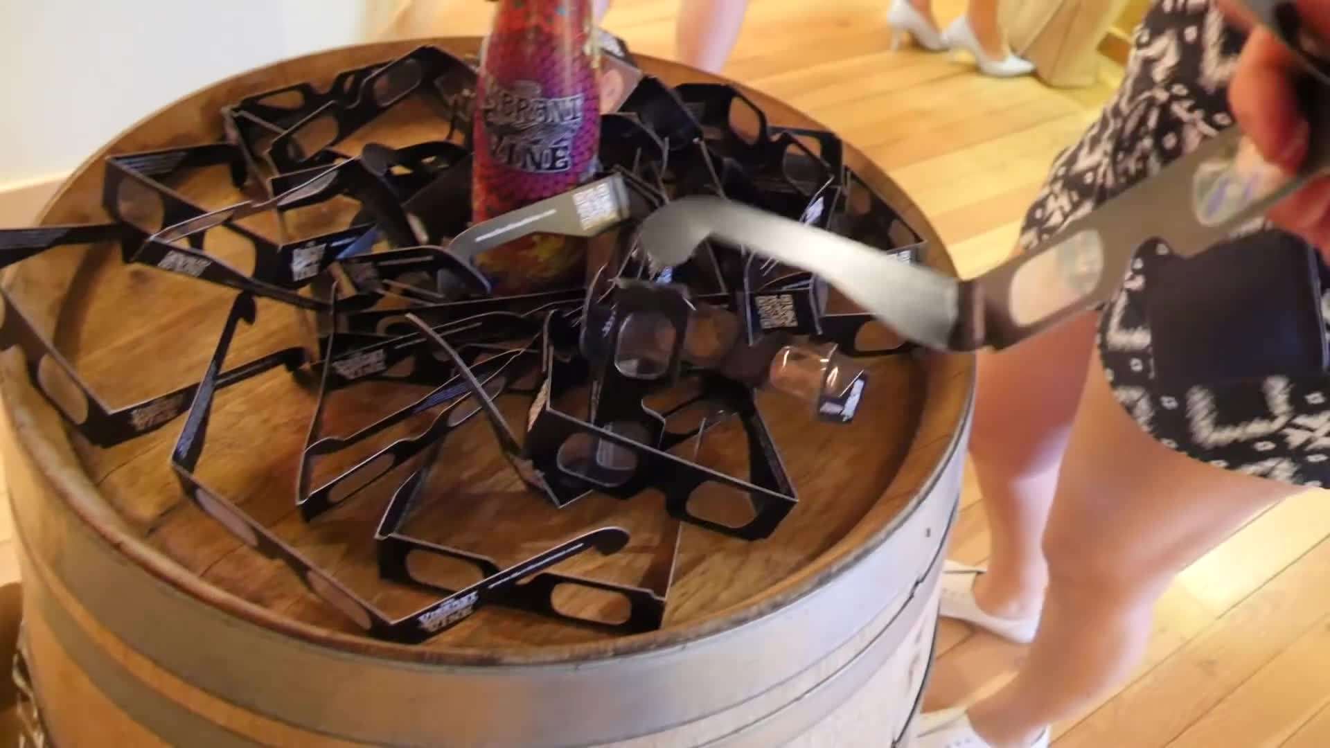 Kelowna Vineyard 3D Art Installation