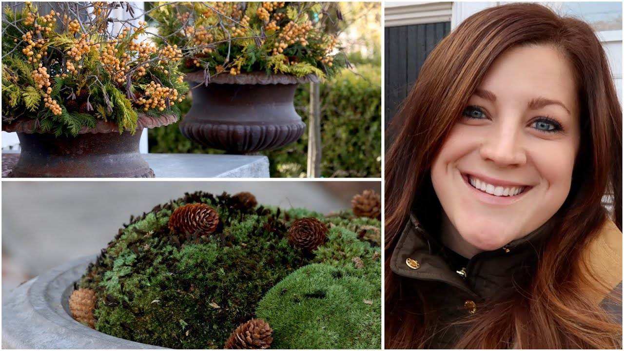 Creating Stunning Winter Containers with Moss: A Garden Answer Tutorial