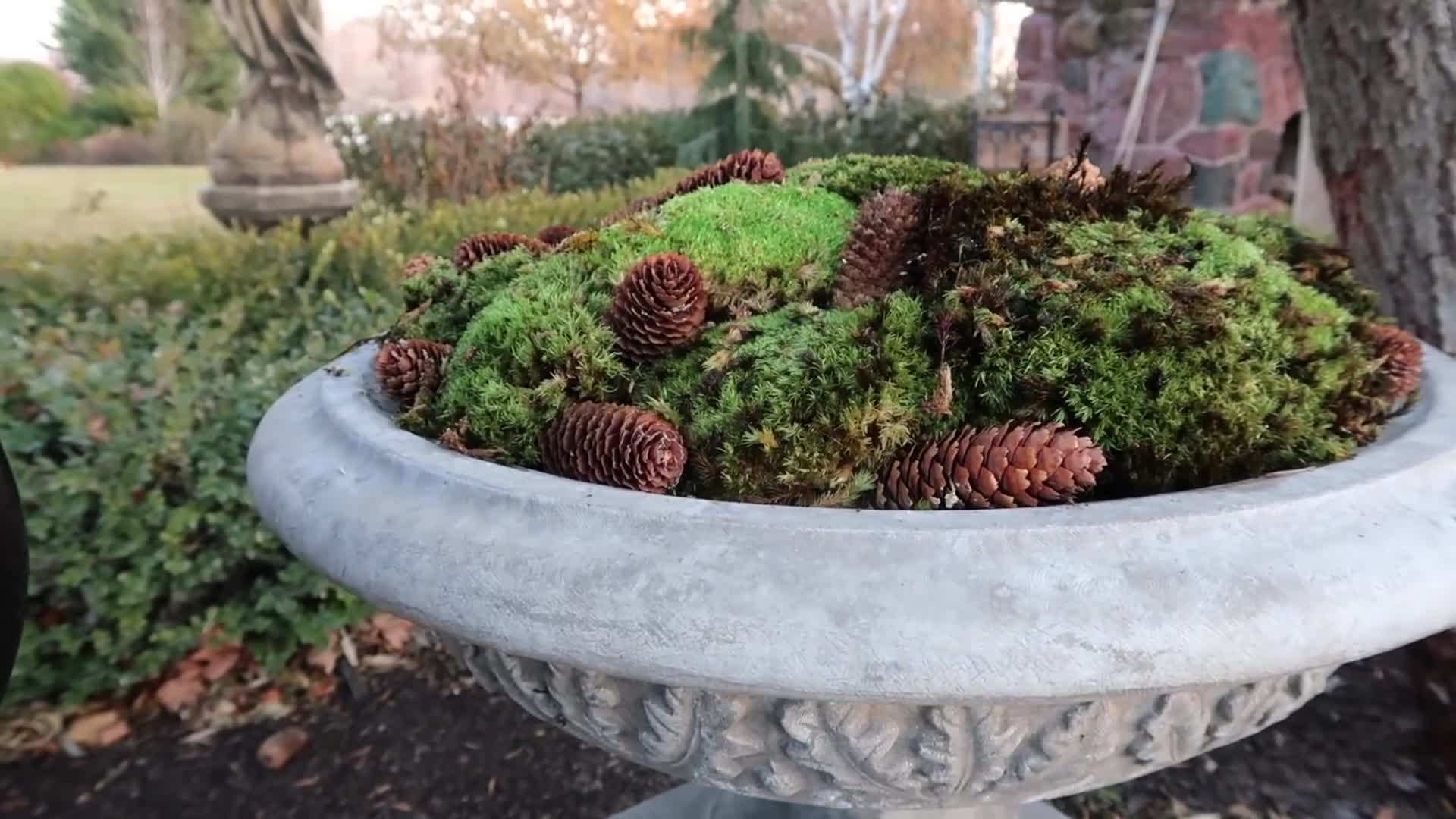 Simple and Clean Winter Container Design