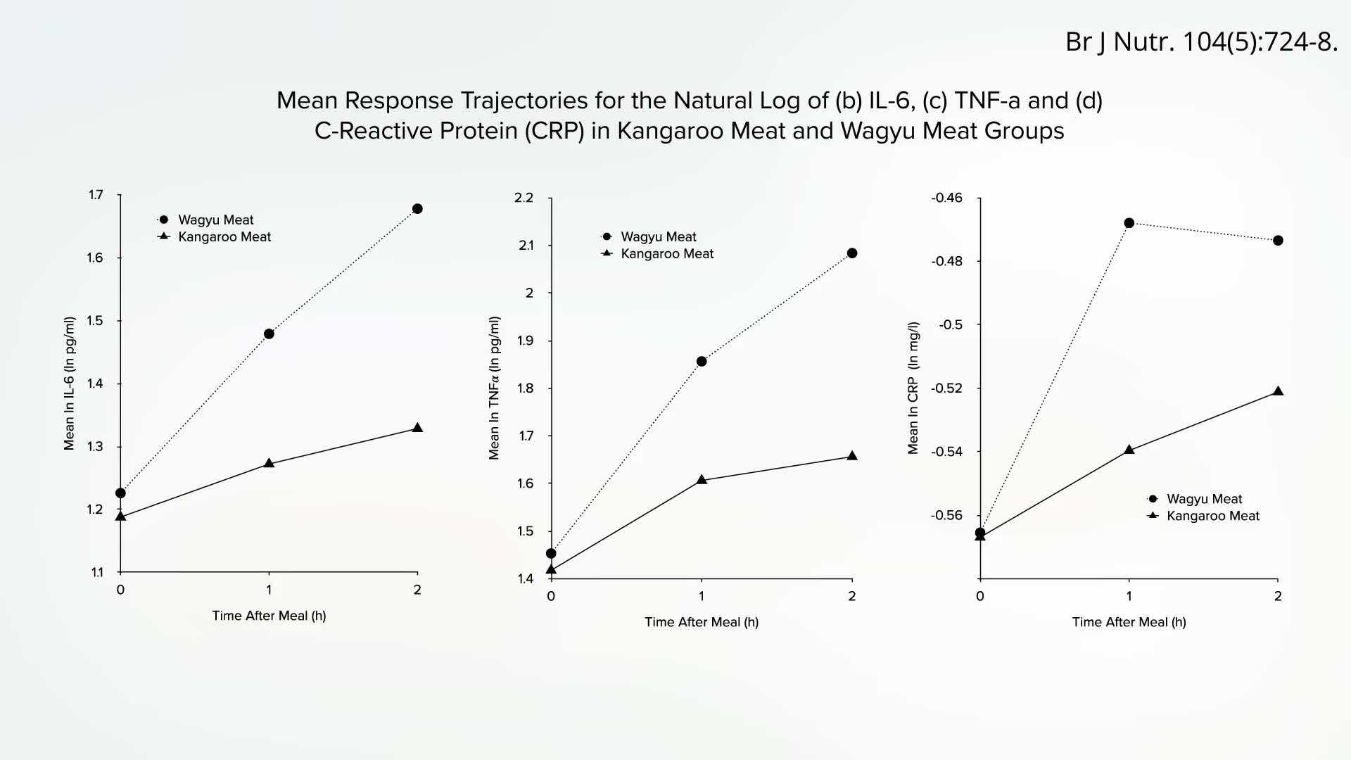 Comparison of Inflammatory Responses to Different Meats
