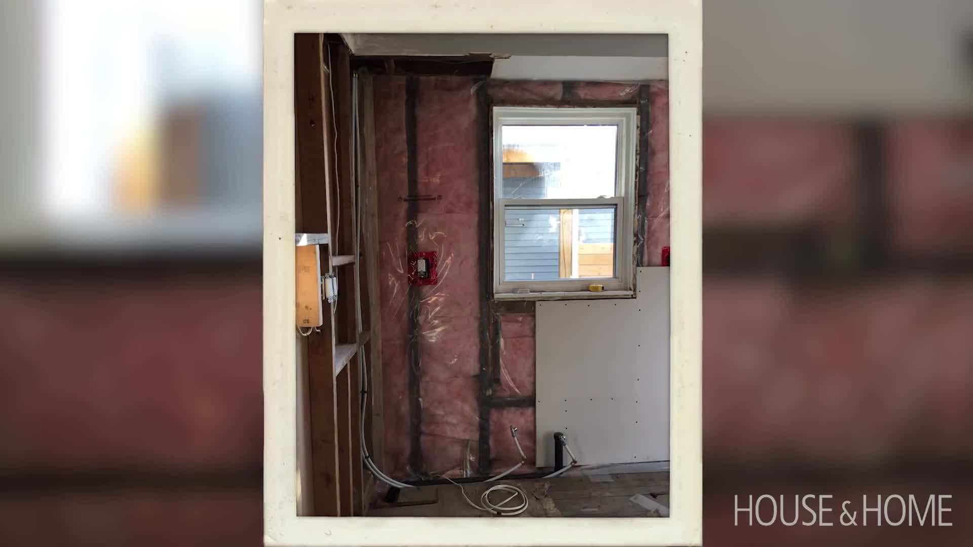 Discovery of Infestations