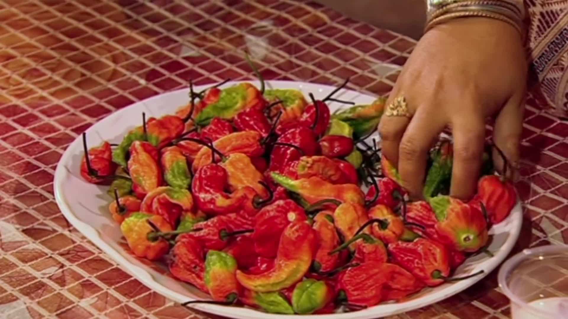 The Boot Jolokia Chilli