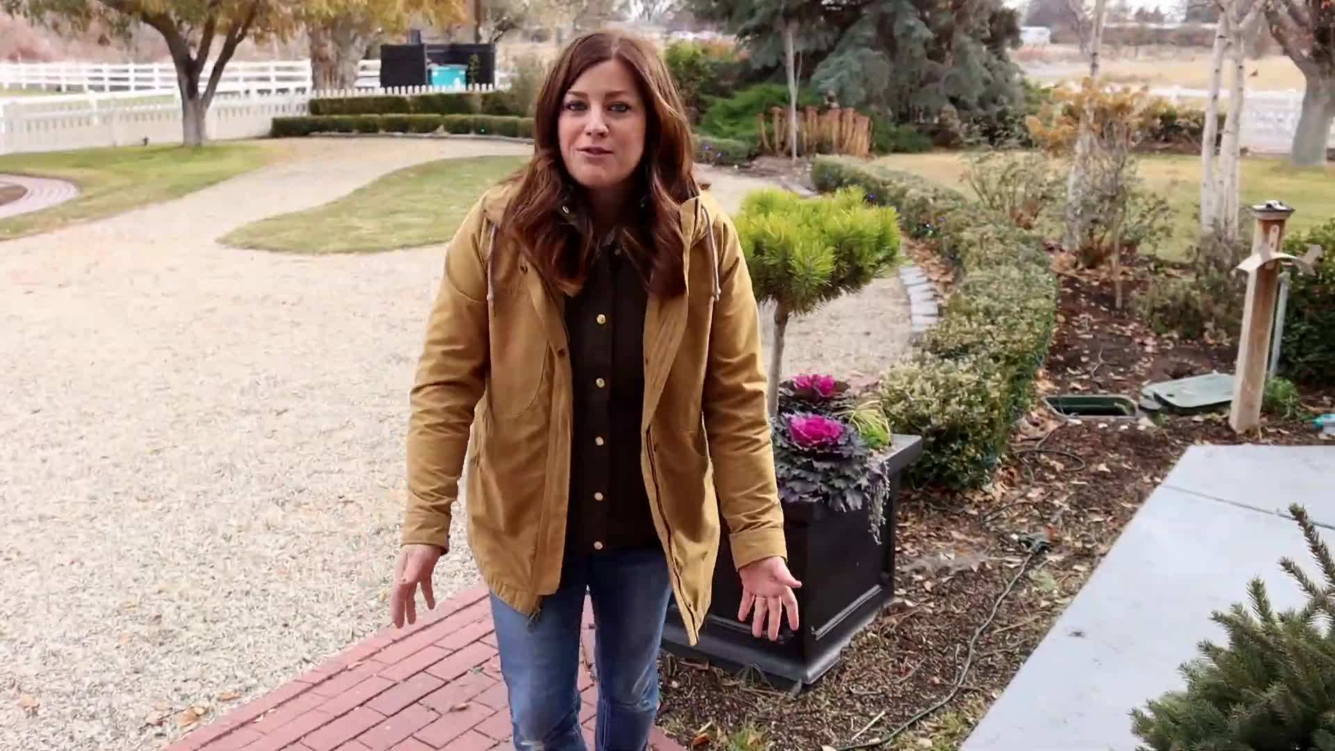 Showcasing Black Hills Spruce in Nursery Cans