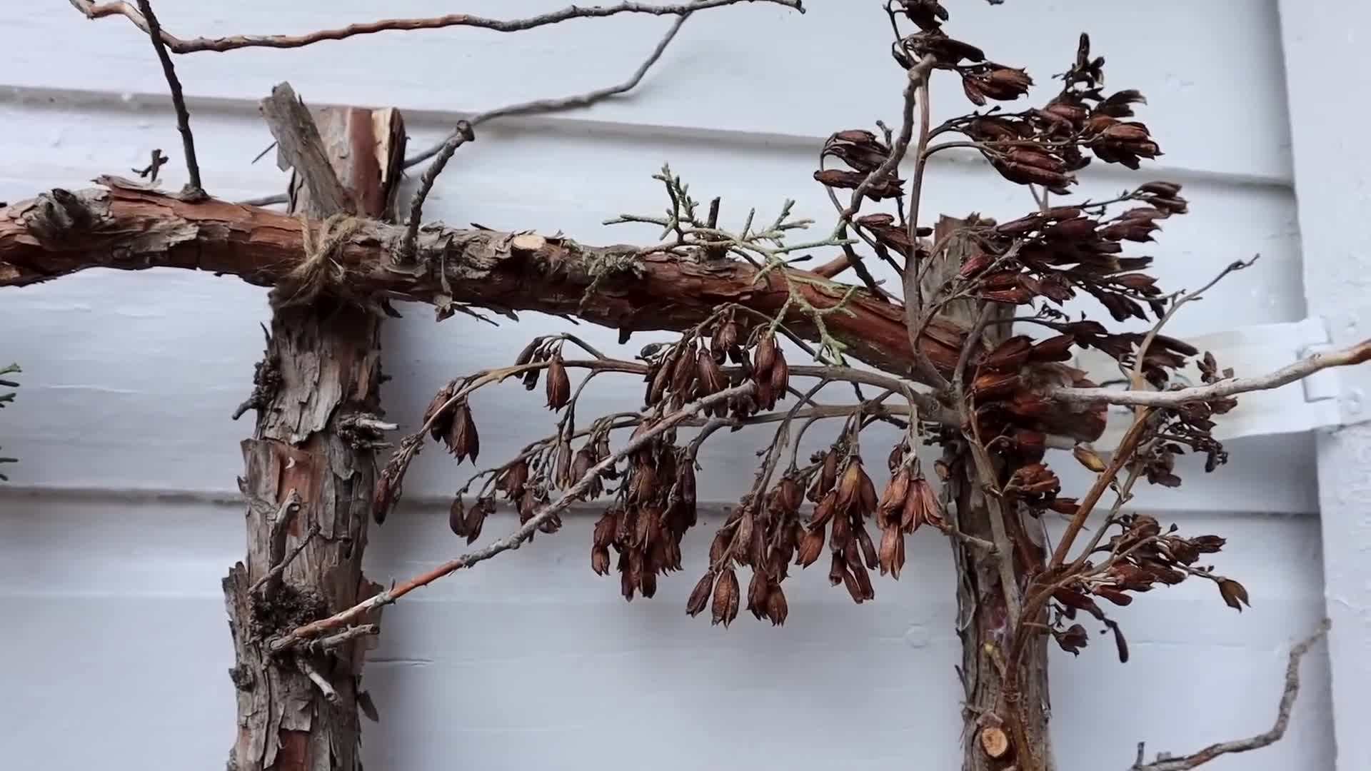 Adding spent lilac branches for texture