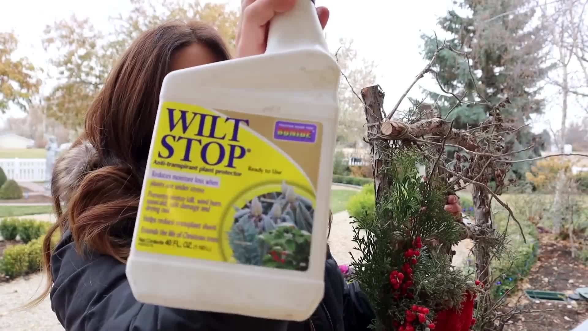 Applying Wilt Stop for material preservation