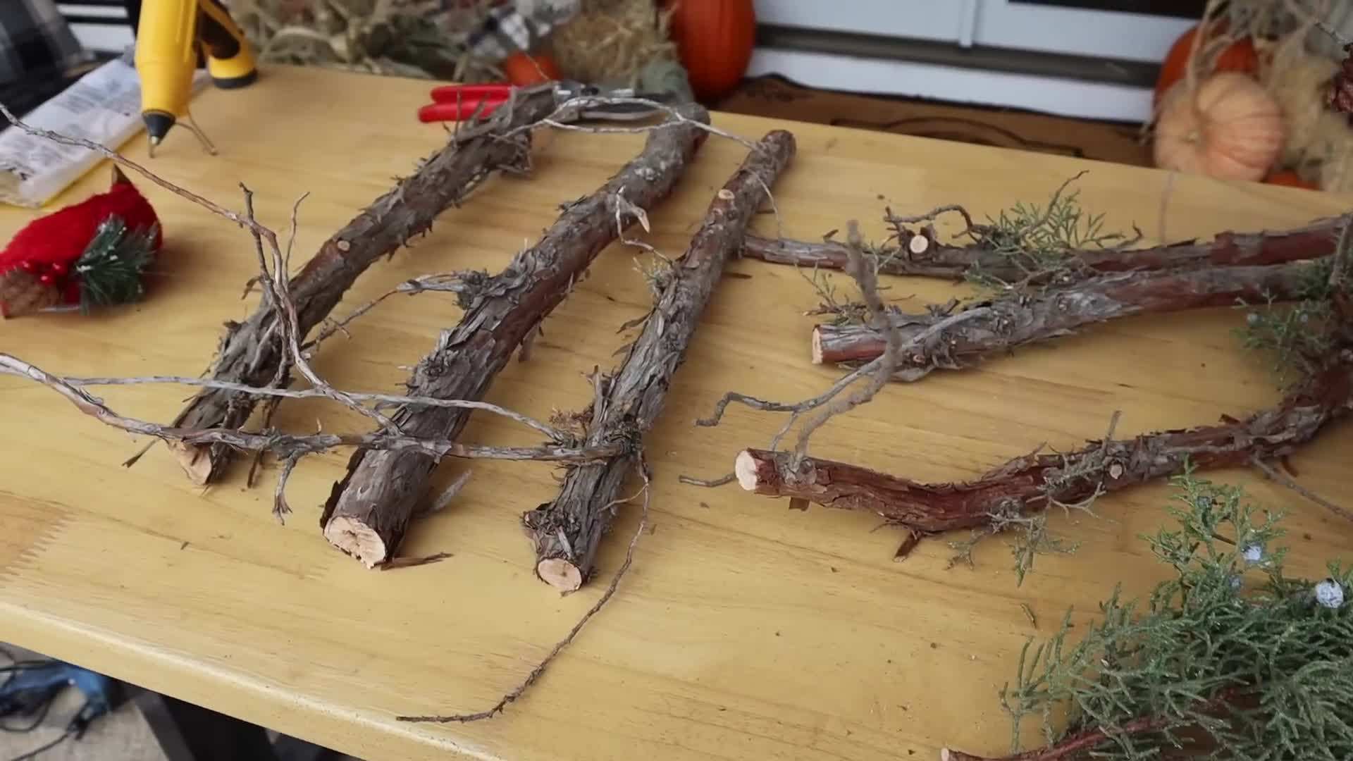 Gathering branches from the garden