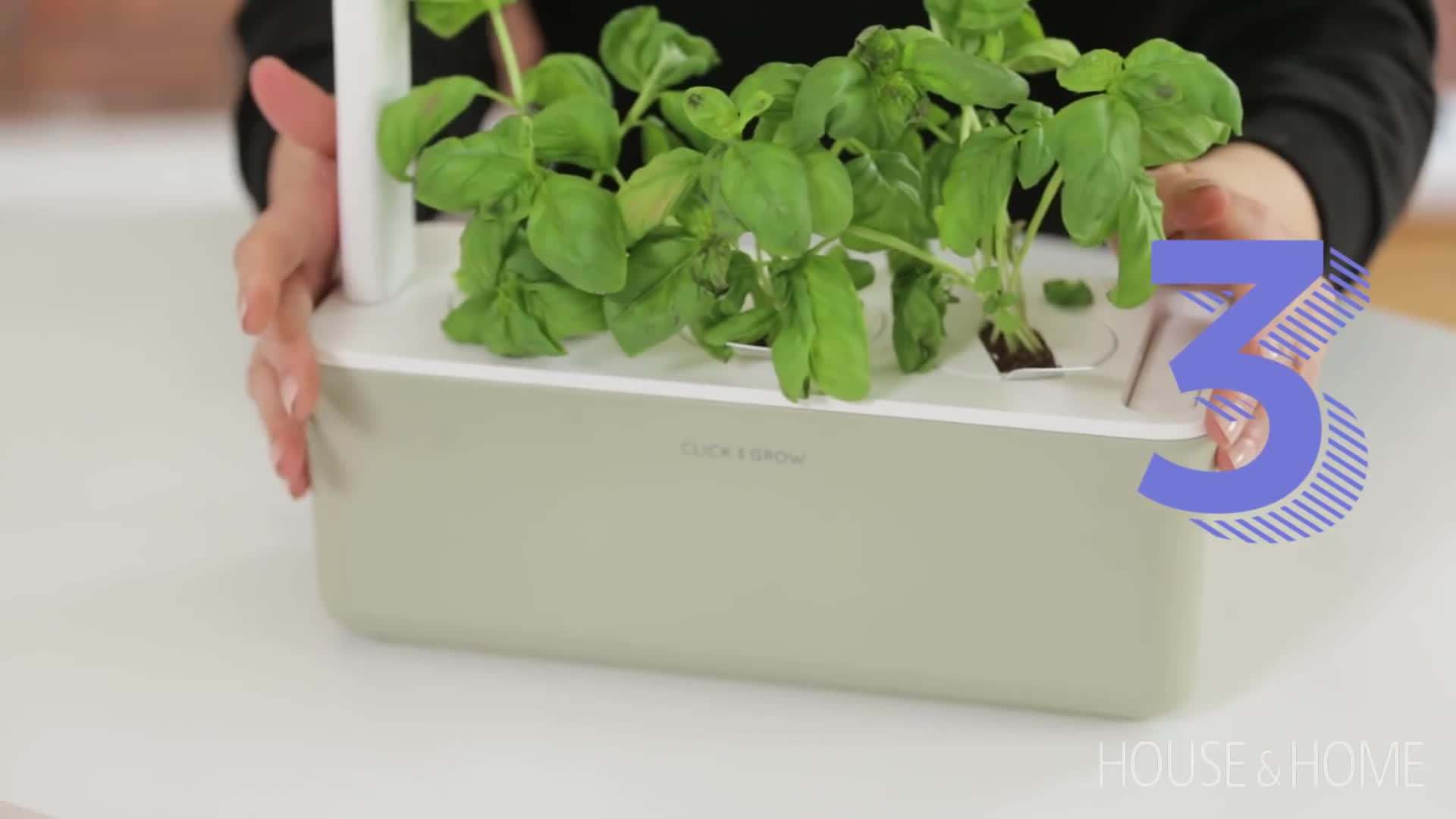 Click and Grow: Indoor Gardening Made Easy