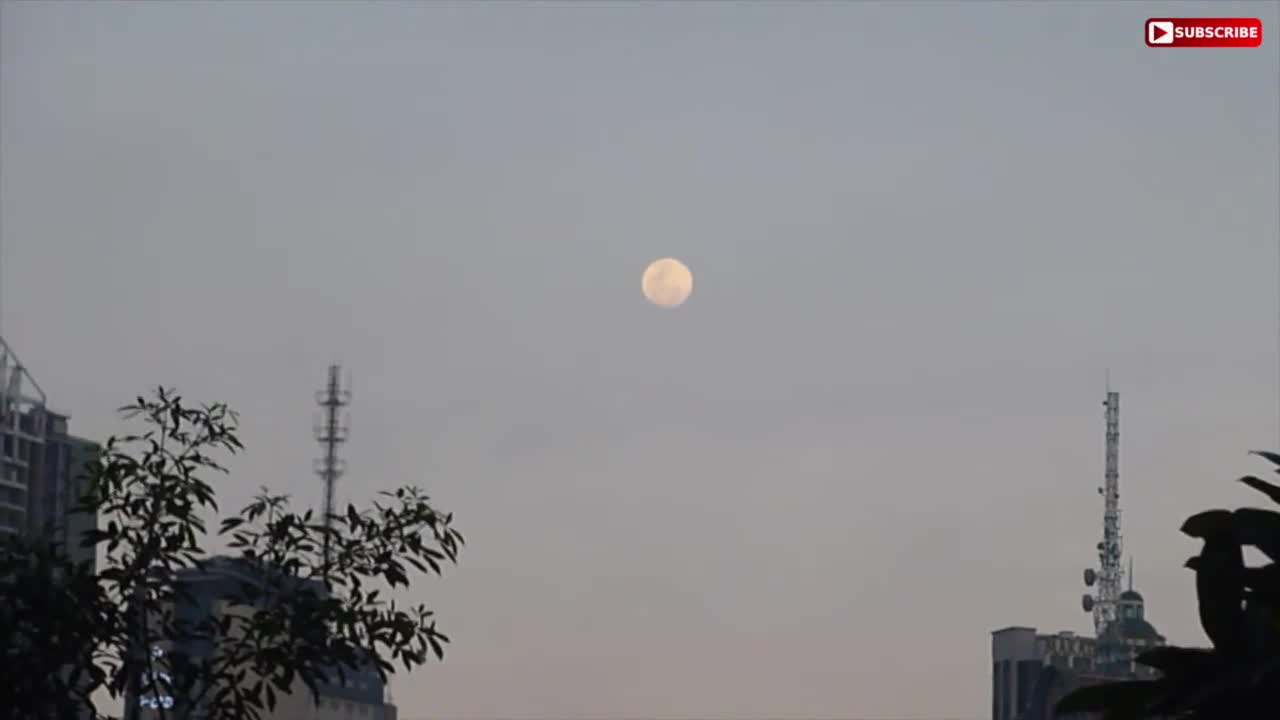 Manila Cityscape View