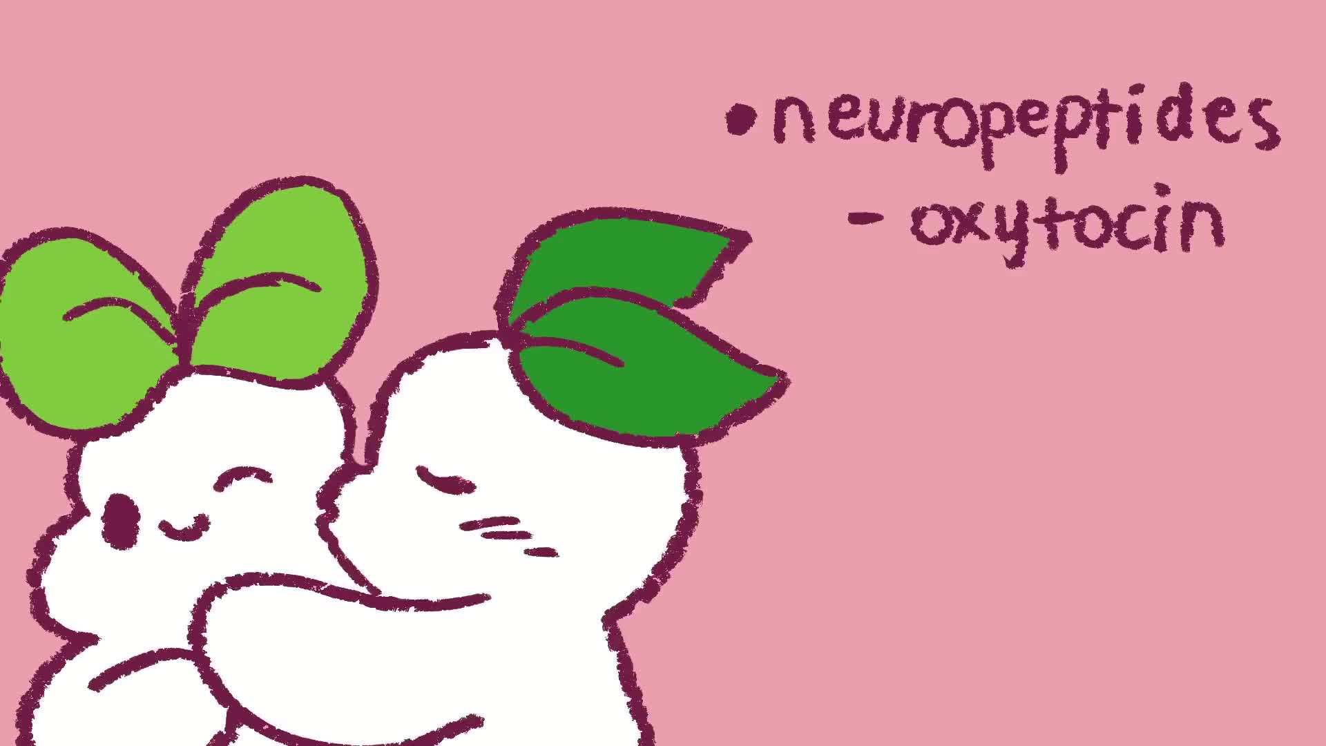 Release of Bonding Hormones through Kissing