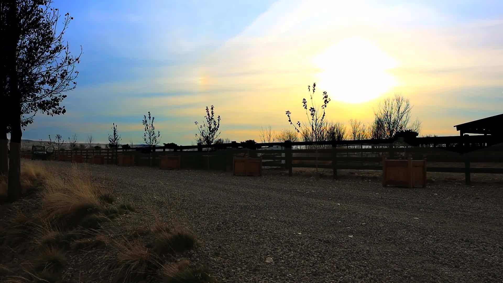 Hand-Watering Plants