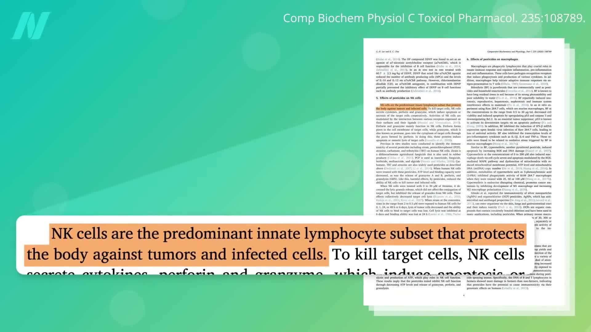 Effects on Anti-Cancer Immunity