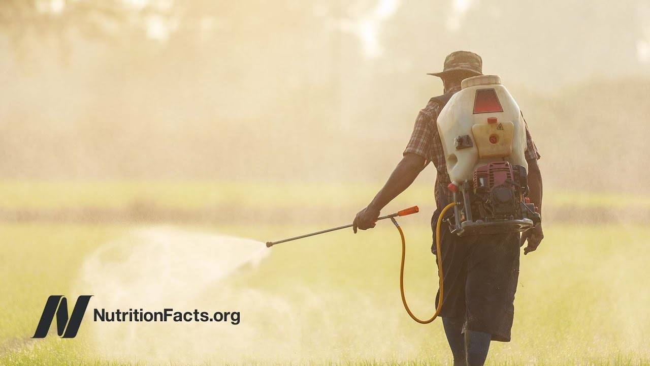 The Impact of Pesticides on Cancer Risk: Unveiling the Truth