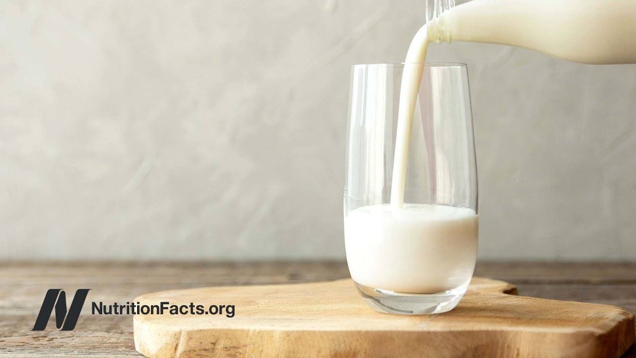 The Impact of Milk Consumption on Parkinson's Disease: Unveiling the Galactose Connection
