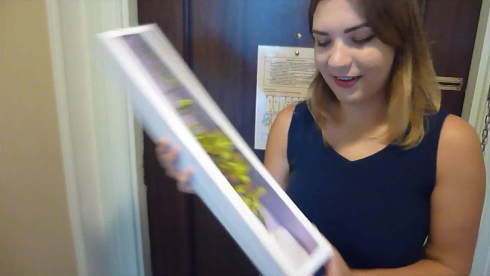 Exquisite Orchids and Complimentary Fruits