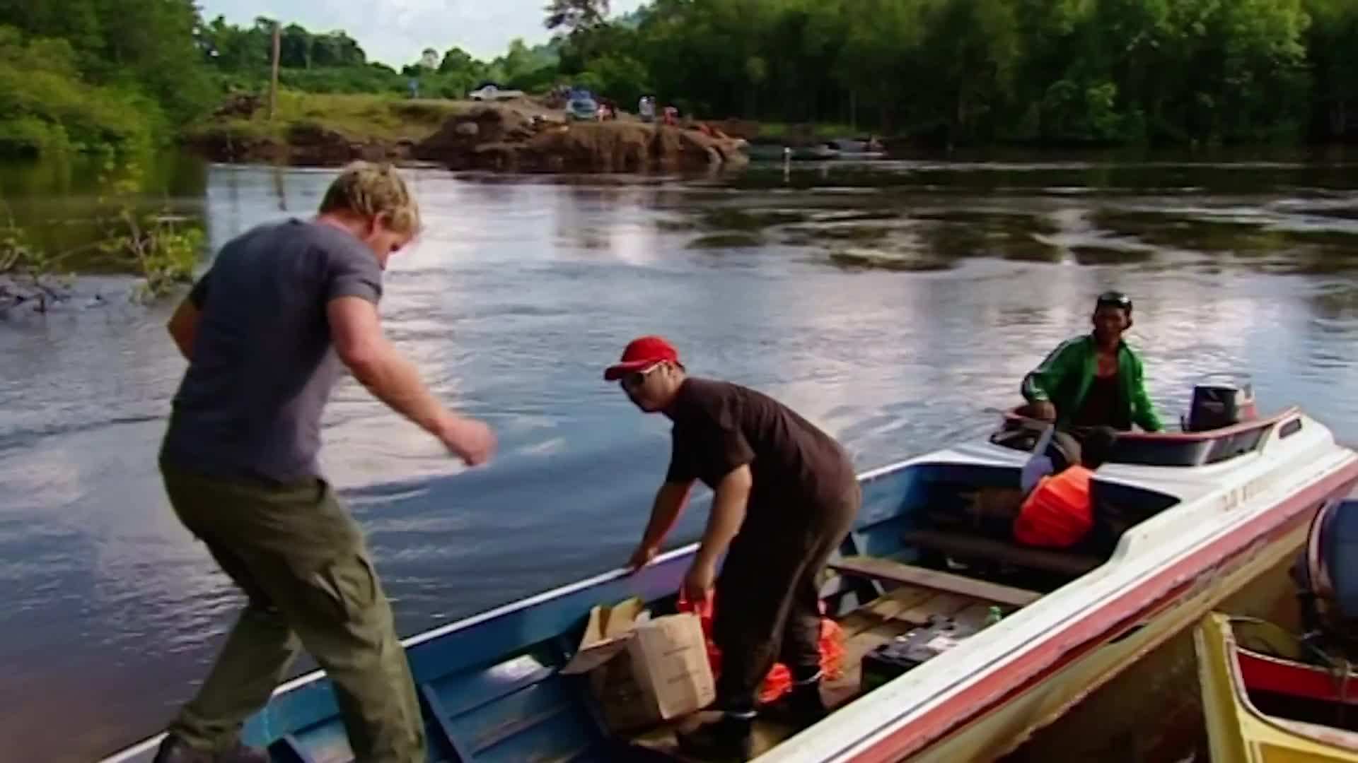 Harvesting Bird's Nests