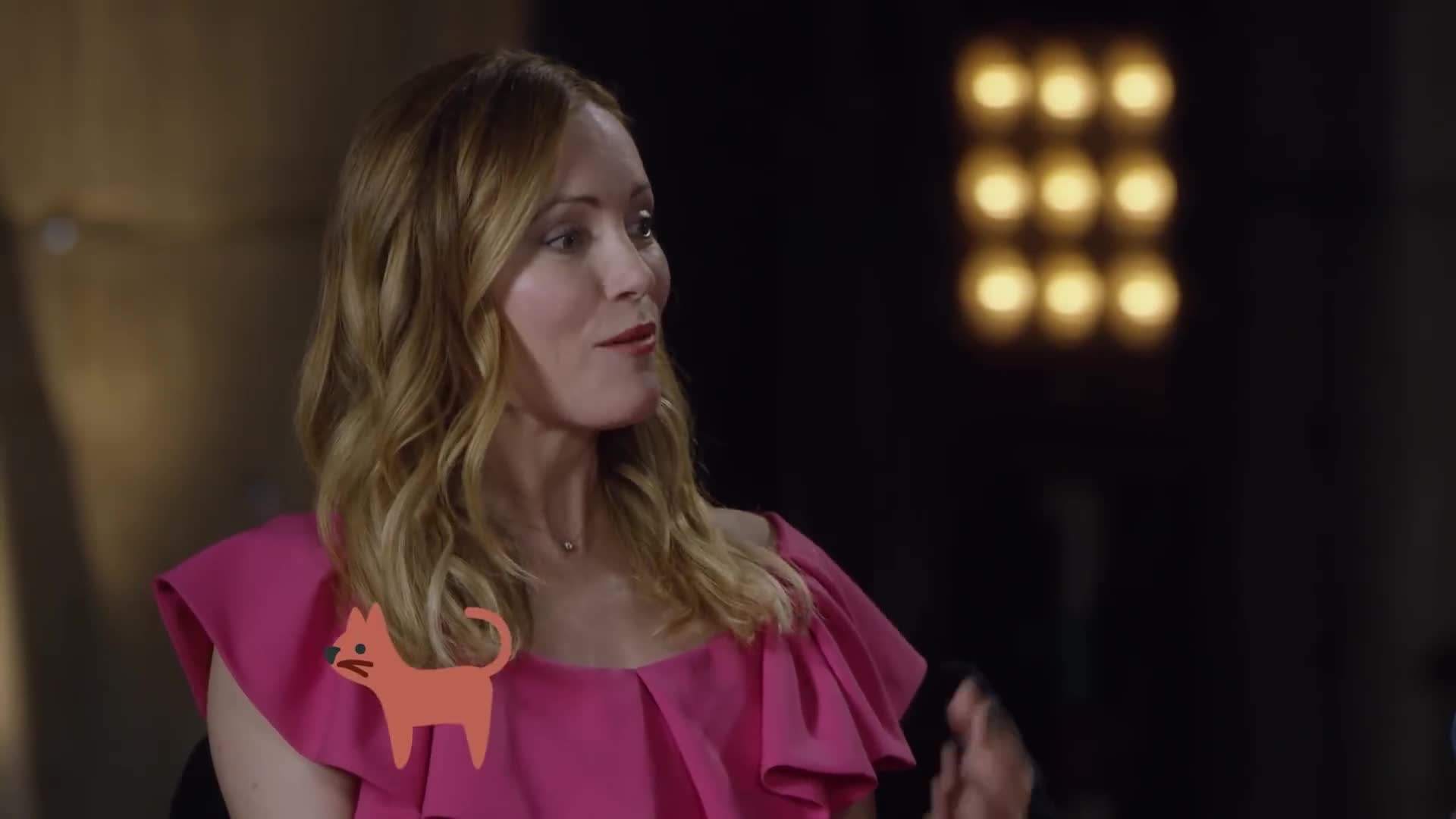 Are you a cat or a dog?