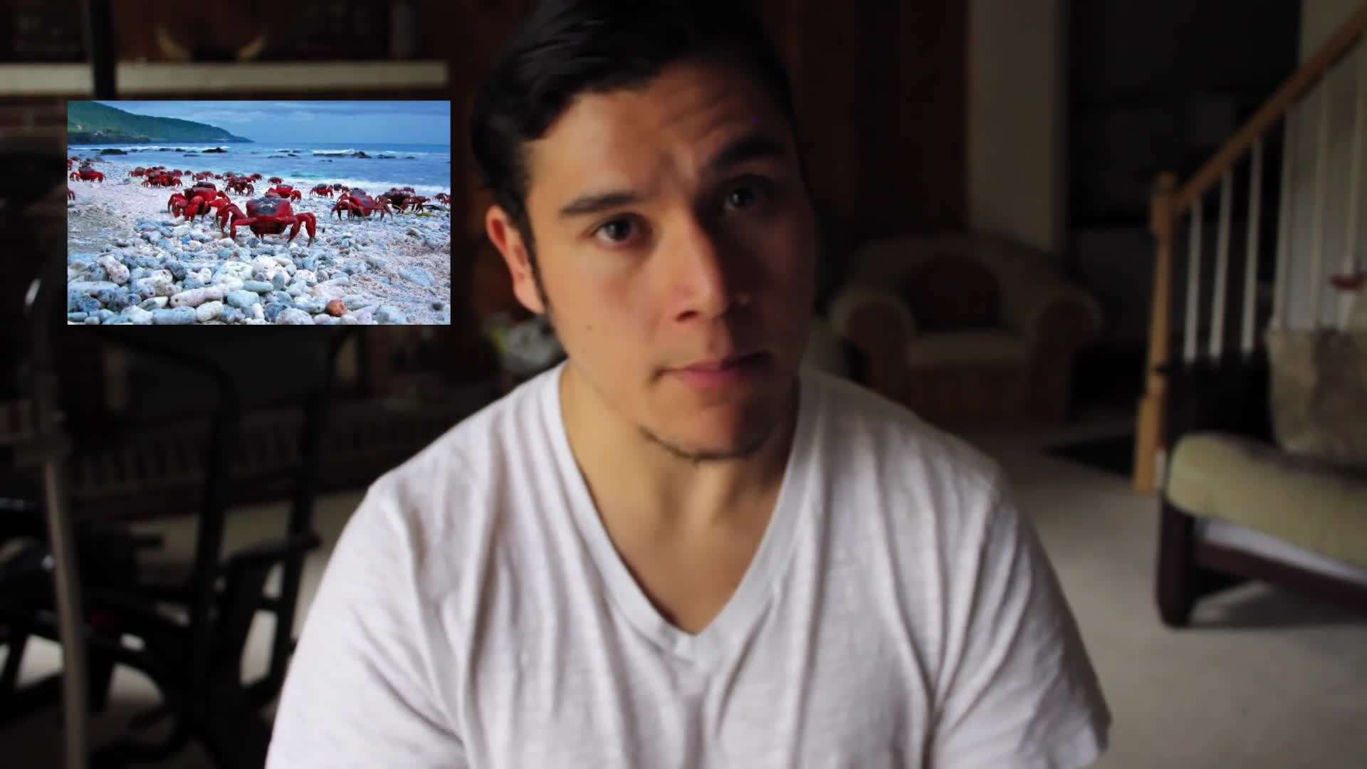 Annual migration of red crabs on Christmas Island