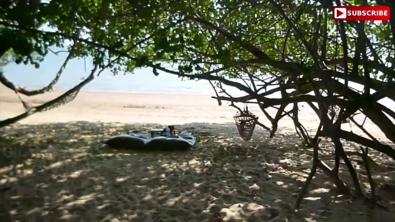 Scenic Views of the Private Beach