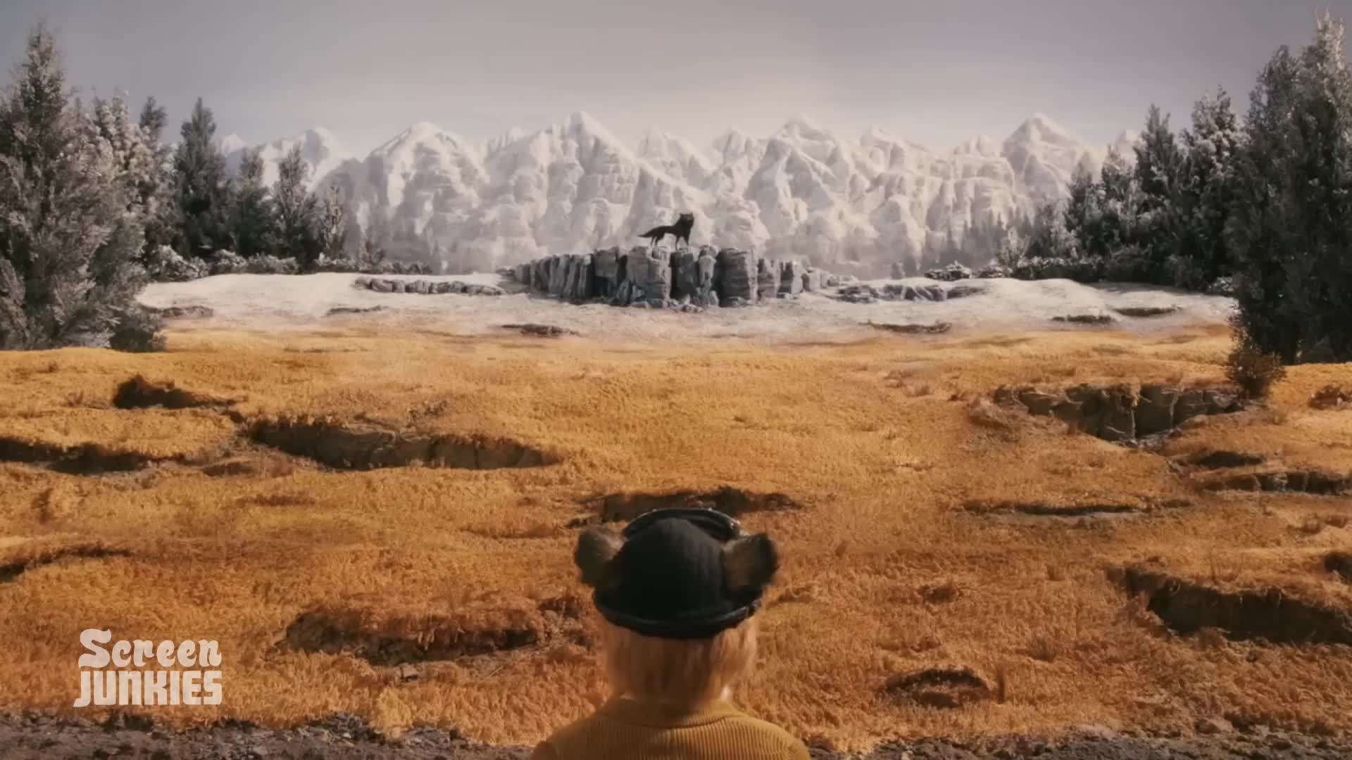 Symmetrical Shots in Wes Anderson Films