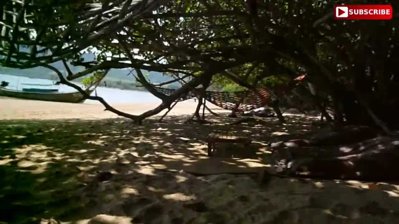 Breathtaking Ocean Views