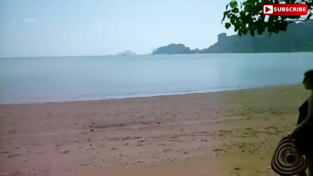 Tranquil Hammocks by the Beach